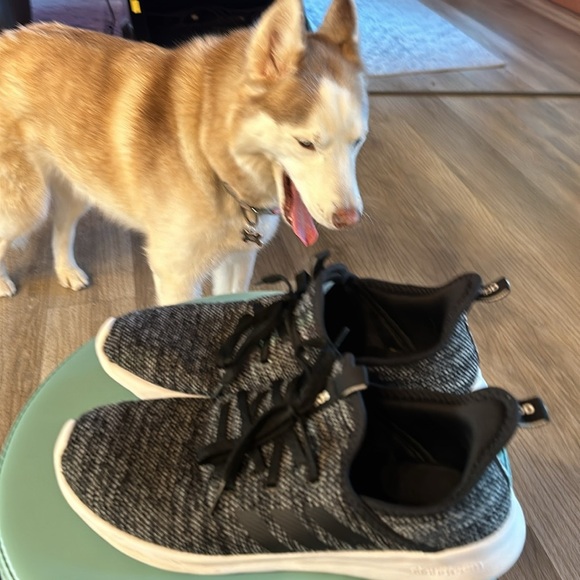 Adidas Cloud sneakers, white and black Size 10 - Picture 2 of 7